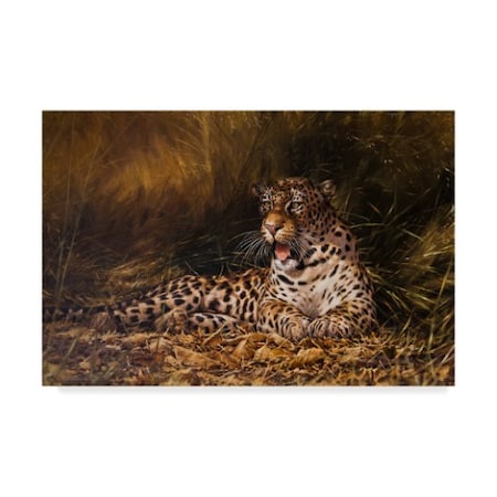 Michael Jackson 'Cheetah In Shadow' Canvas Art,16x24